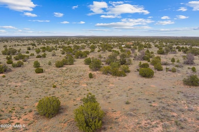 50178020f Wyandotte Rd, Williams, AZ 86046 - photo 2