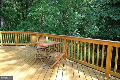 12217 Tildenwood Dr, Rockville, MD 20852 - photo 4