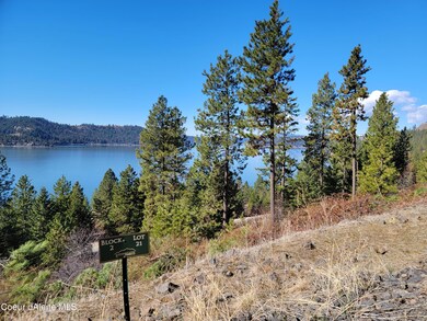 Lot21 Blk2 Stonegate at Harrison, Harrison, ID 83833 - photo 4