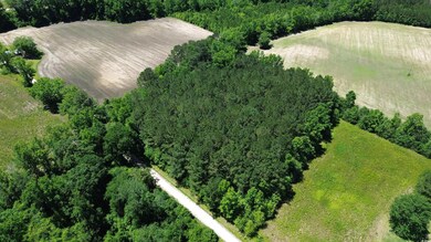 View of property location with a forest