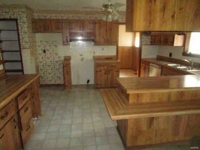 152 County Road 452, Poplar Bluff, MO 63901 - photo 4