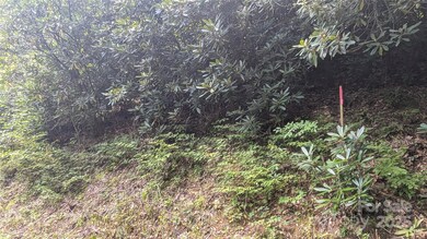 00 Chestnut Walk Dr unit 3, Waynesville, NC 28786 - photo 7