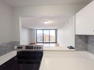 3660 N Lake Shore Dr unit 2008, Chicago, IL 60613 - photo 5