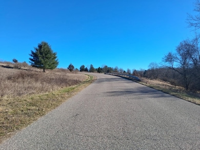 L600 N Dutch Hollow Rd, La Valle, WI 53941 - photo 5