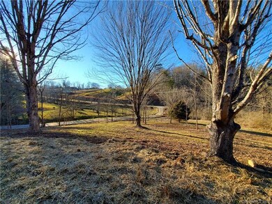 14 Frank Lawson Ln, Leicester, NC 28748 - photo 5