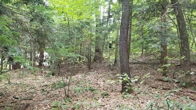 00 Red Cedar Rd, Woodstock Valley, CT 06282 - photo 7