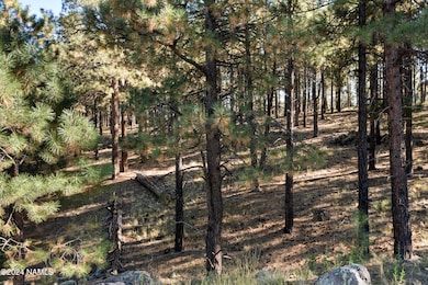 6040 W Saskan Ranch Cir, Flagstaff, AZ 86001 - photo 3