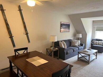 28 Packard Rd unit 633, Waterville Valley, NH 03215 - photo 3