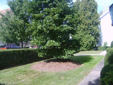 1338 Lafayette St, Scranton, PA 18504 - photo 6