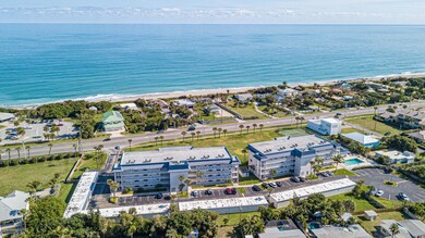 Aerial Shot