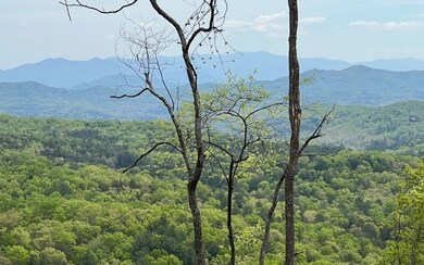 Additional View