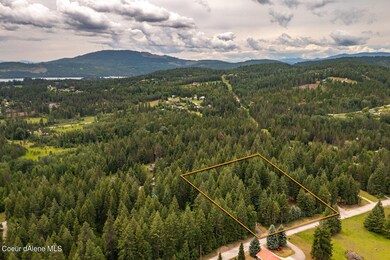 Aerial-Property-Lines