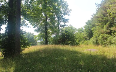 Additional View