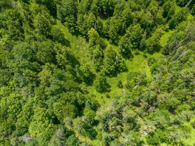 0 Lyman Rd, Lyman, NH 03585 - photo 7