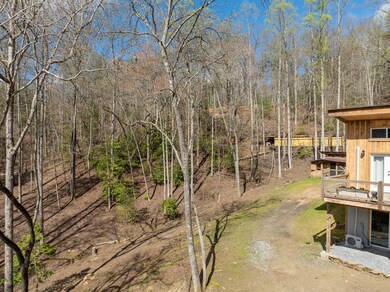 857 Mountain Rivers Ln, Mineral Bluff, GA 30559 - photo 5