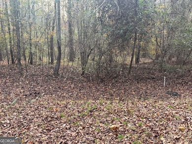 1511 N Rainbow Dr, Elberton, GA 30635 - photo 4