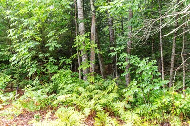 00 Clarks Landing Rd unit 160/032/000, Moultonborough, NH 03254 - photo 6