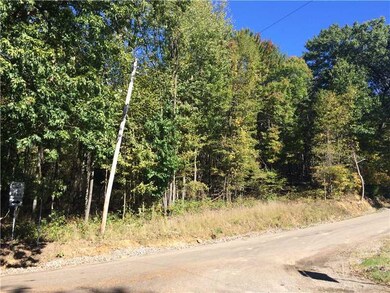 Land/Lot. right hand side of property