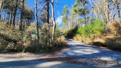 9999 Old Chestnut Ln unit 1, Hendersonville, NC 28739 - photo 3