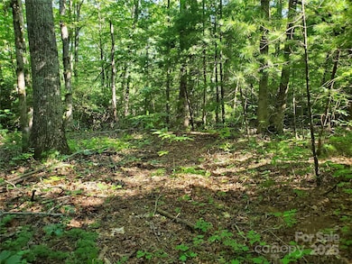 00 Staton Ridge Rd, Saluda, NC 28773 - photo 4