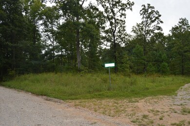 0 Mathis Cemetery Rd unit 2187275, Stewart, TN 37175 - photo 2