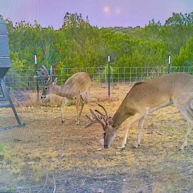 Rd, Comstock, TX 78837 - photo 3