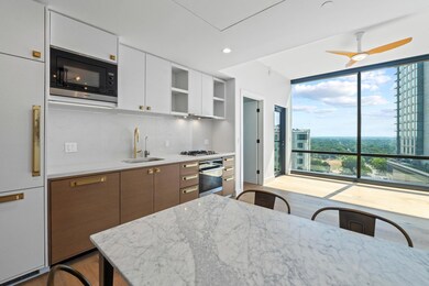 70 Rainey St unit 1303, Austin, TX 78701 - photo 6