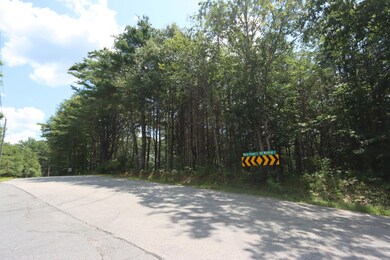 Road View