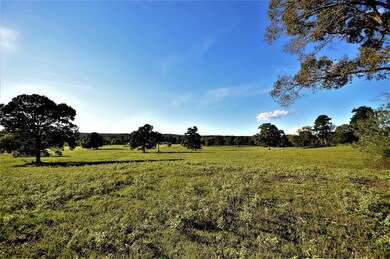 000 Fm 698, Nacogdoches, TX 75964 - photo 4