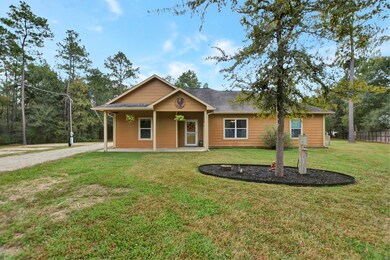 25896 E Lake View Ct, Hockley, TX 77447 - photo 2