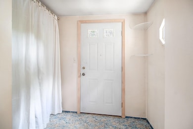 317 Doty Ave, Ann Arbor, MI 48103 - photo 2