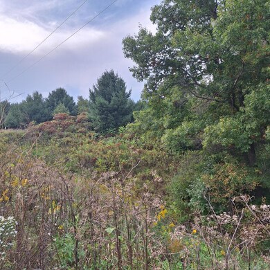 1175 207th Pic 1.jpg