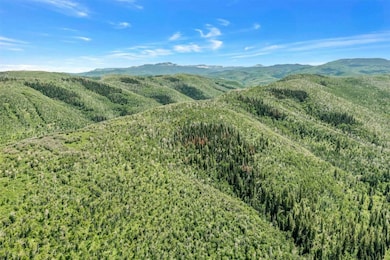 26760 Rimrock Trail, Oak Creek, CO 80467 - photo 4