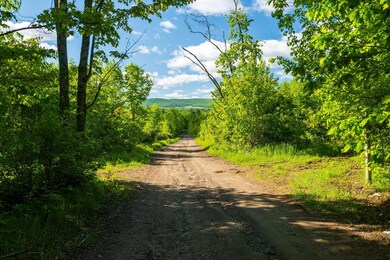 02-Private road looking South