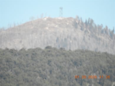 16 Calle Largo, Ribera, NM 87560 - photo 3