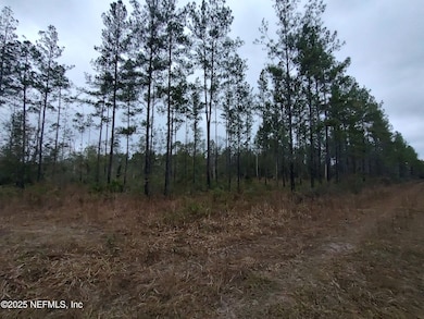 1757 Whippoorwill Ln, Glen St. Mary, FL 32040 - photo 7