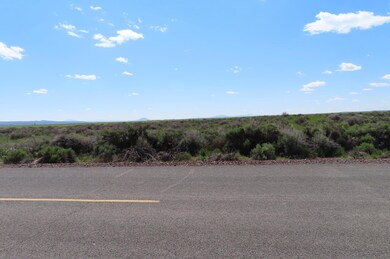 TL 200 Fossil Lake [27s19e06-00-00200, Christmas Valley, OR 97641 - photo 3