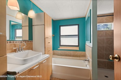 40 Aspen Village Rd, Aspen, CO 81611 - photo 7