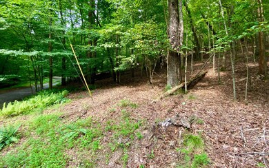 Additional View
