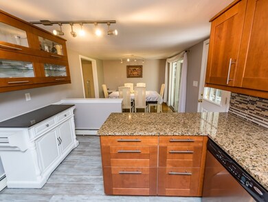 31 Lunda St, Waltham, MA 02451 - photo 6