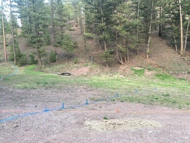 7245 & 723 Trout Creek Rd, Helena, MT 59602 - photo 2