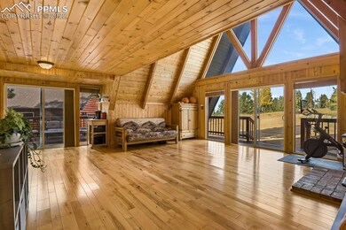 66 Blue Mesa Dr, Divide, CO 80814 - photo 4