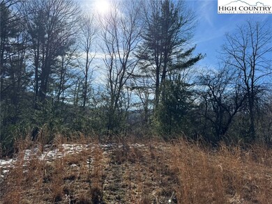 Potential year round view