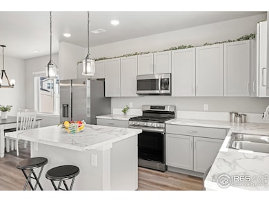 309 Pony Express Trail, Ault, CO 80610 - photo 6