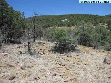 LOT 71 N Swan St unit Dos Griegos Phase 2, Silver City, NM 88061 - photo 3