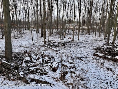 0 S Royston Rd unit 285357, Eaton Rapids, MI 48827 - photo 7