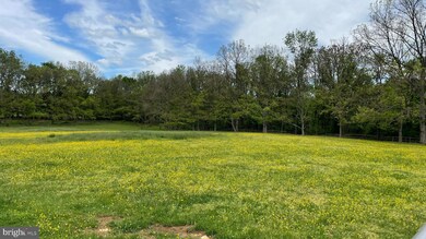 19240 Walsh Farm Ln, Bluemont, VA 20135 - photo 2