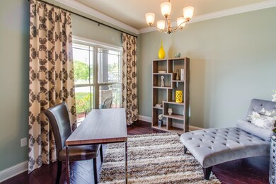 The%20Oakley%20-%20Study