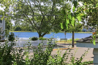 Lake of the Lillies View