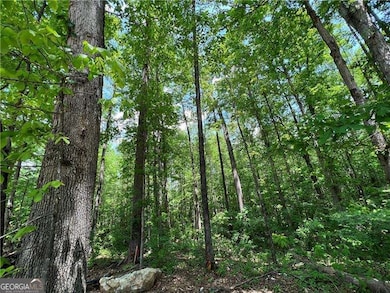 5624 Browns Mill Rd, Lithonia, GA 30038 - photo 4